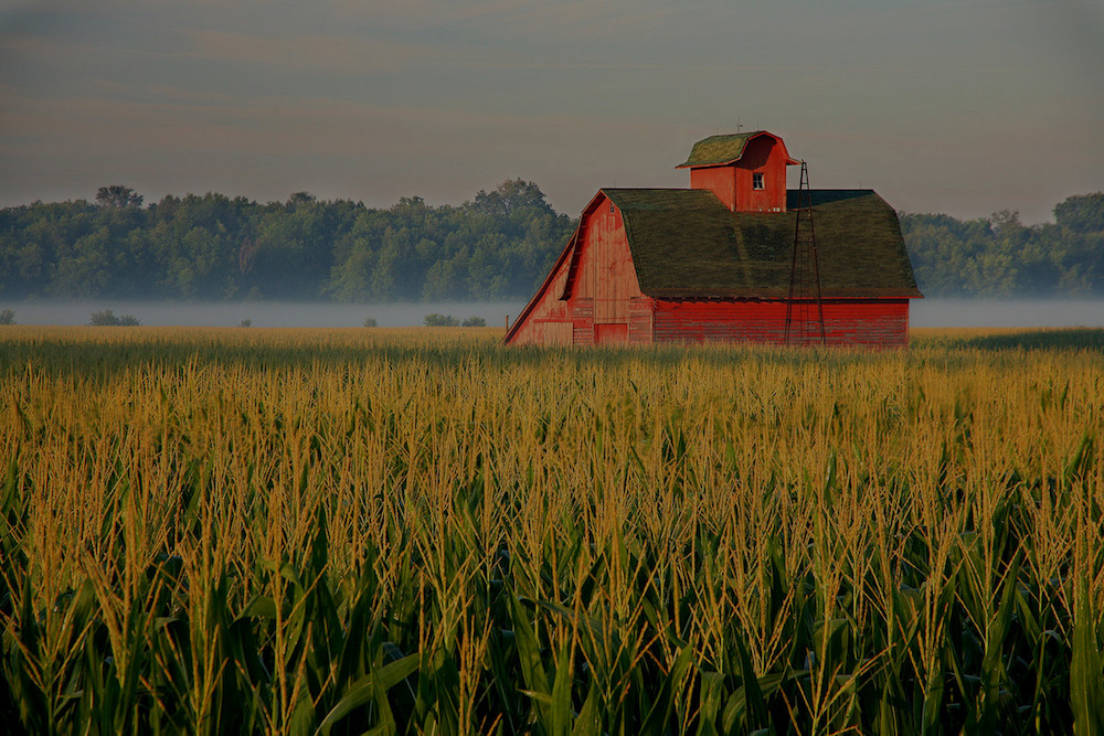 farm and crop insurance Montgomery TX