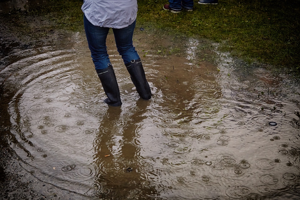 flood insurance Montgomery TX