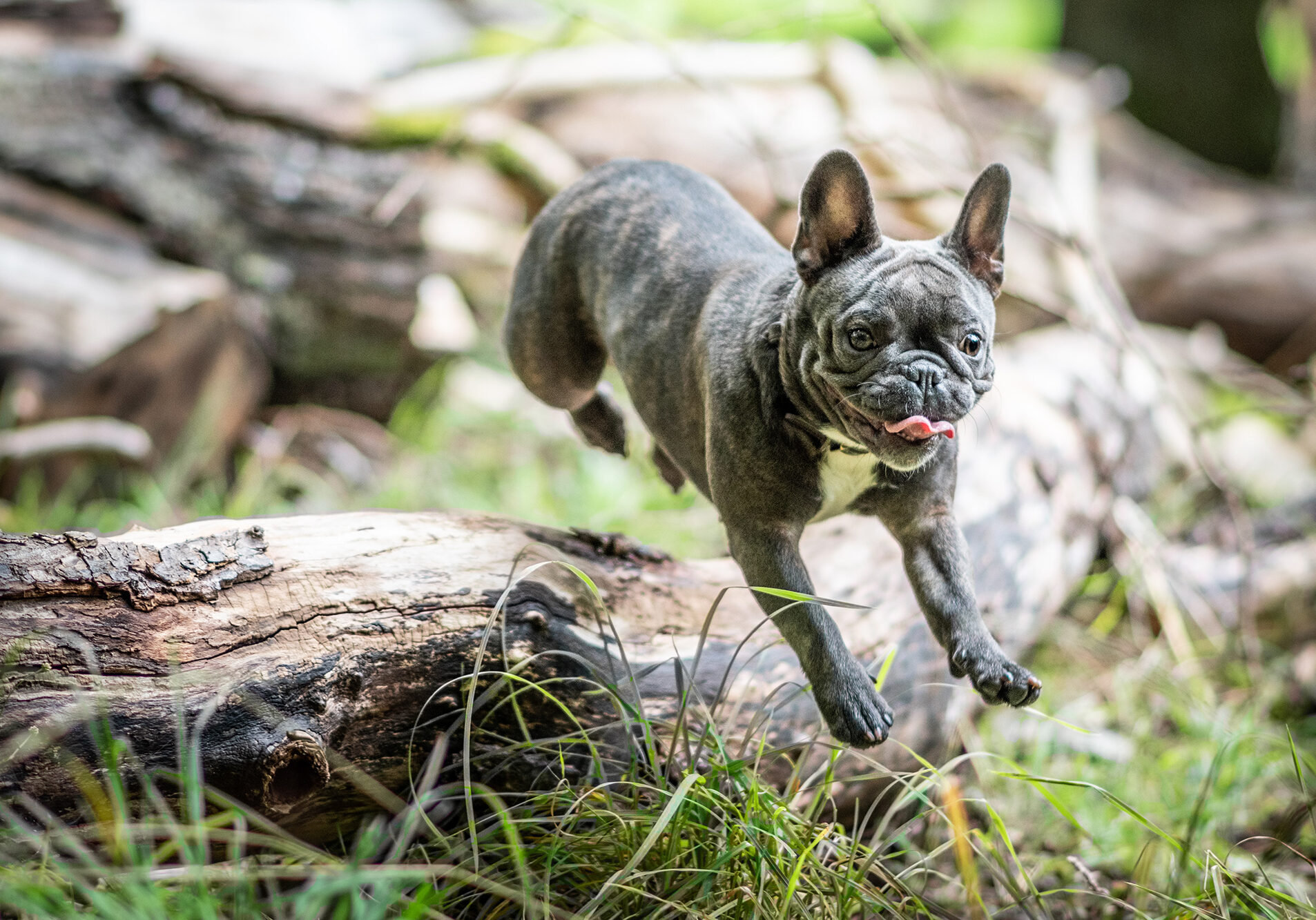 matt-walsh-9Q8PqfeYkMk-unsplash matt-walsh-9Q8PqfeYkMk-unsplash